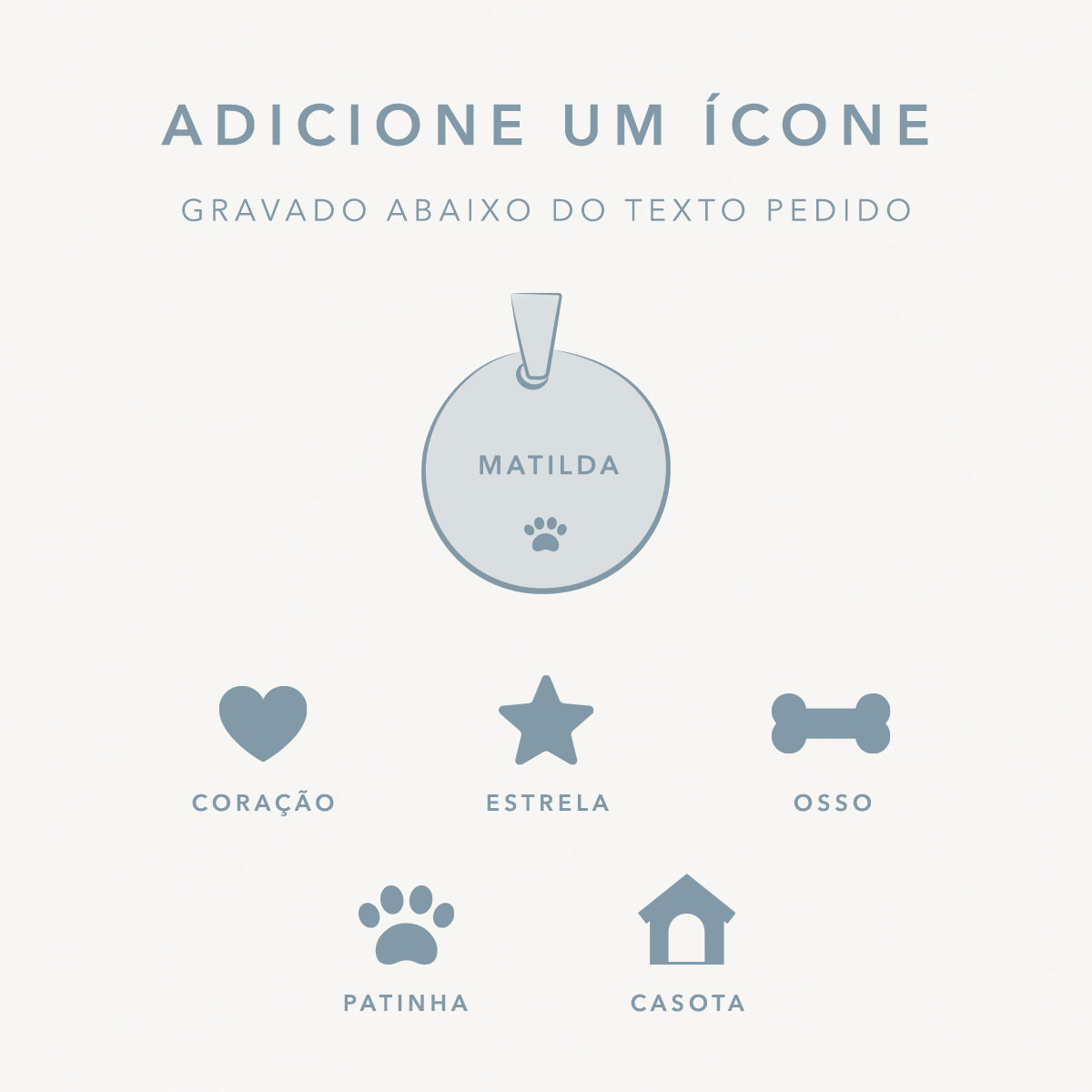 Pet tag