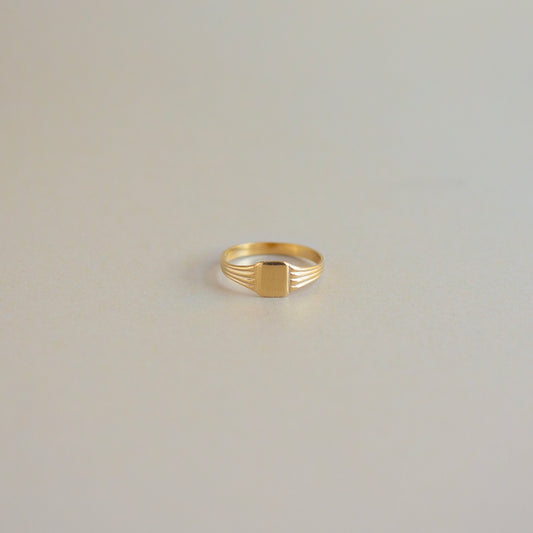 anillo de aleta